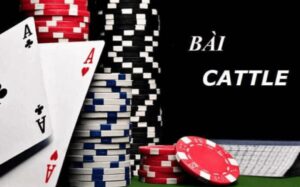 Cách chơi bài Catte