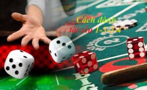 Cách đánh tài xỉu 1-3-2-4