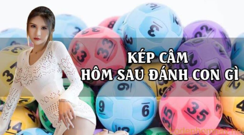 Lô kép câm hôm sau đánh con gì