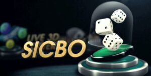Tại sao chơi sicbo luôn thua TDTC