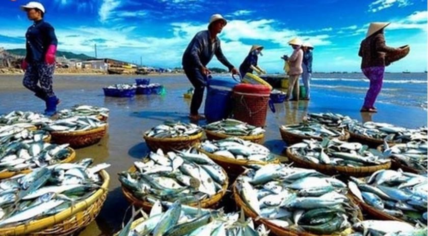 mơ thấy cá đánh con gì